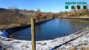 La bassa particular on els Agents Rurals han trobat mort l'aligot