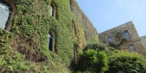 L'edifici m&eacute;s emblem&agrave;tic de Palo Alto avui acull 7 empreses i estudis, incl&ograve;s el de Mariscal