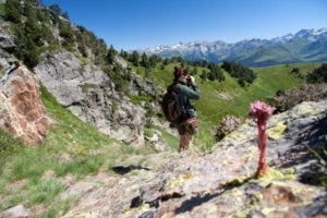 Ornit&ograve;loga durant l'elaboraci&oacute; de l'Atles