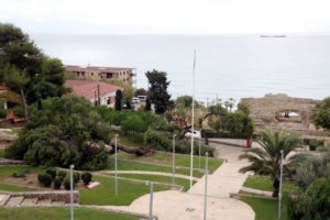 Parc de l'Amfiteatre de Tarragona, amb pins caiguts per la tempesta, amb el monument rom&agrave; i el mar, al fons