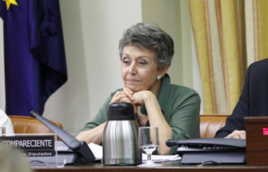 Rosa María Mateo, a una compareixença al Congrés dels Diputats