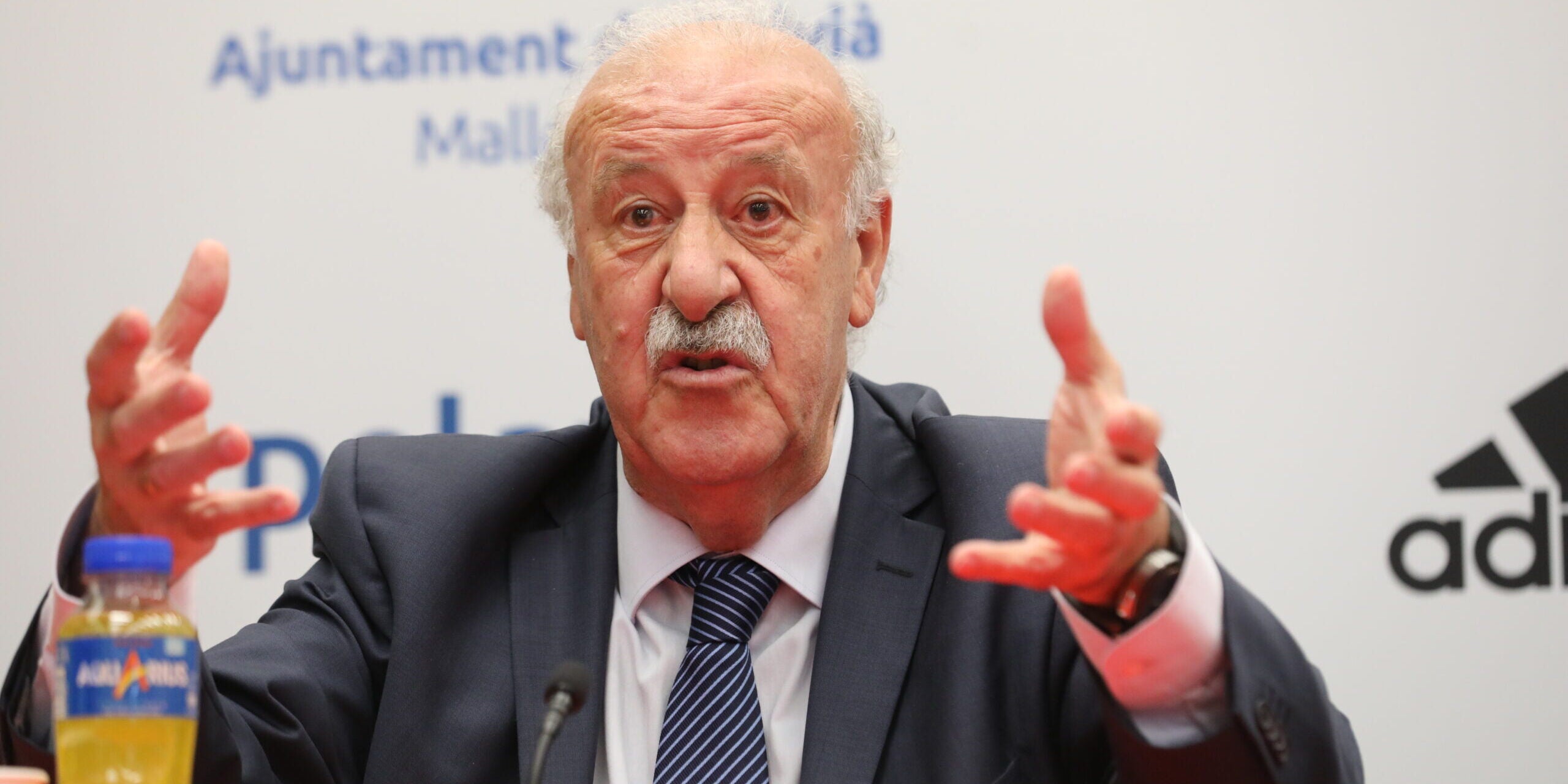Vicente del Bosque, en arxiu | Europa Press