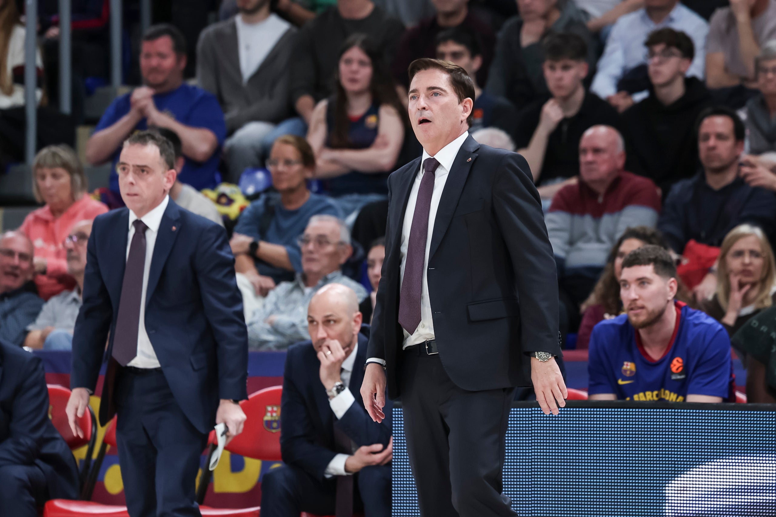 Xavi Pascual, durant el Barça-Estrella Roja d'Eurolliga al Palau Blaugrana | Europa Press