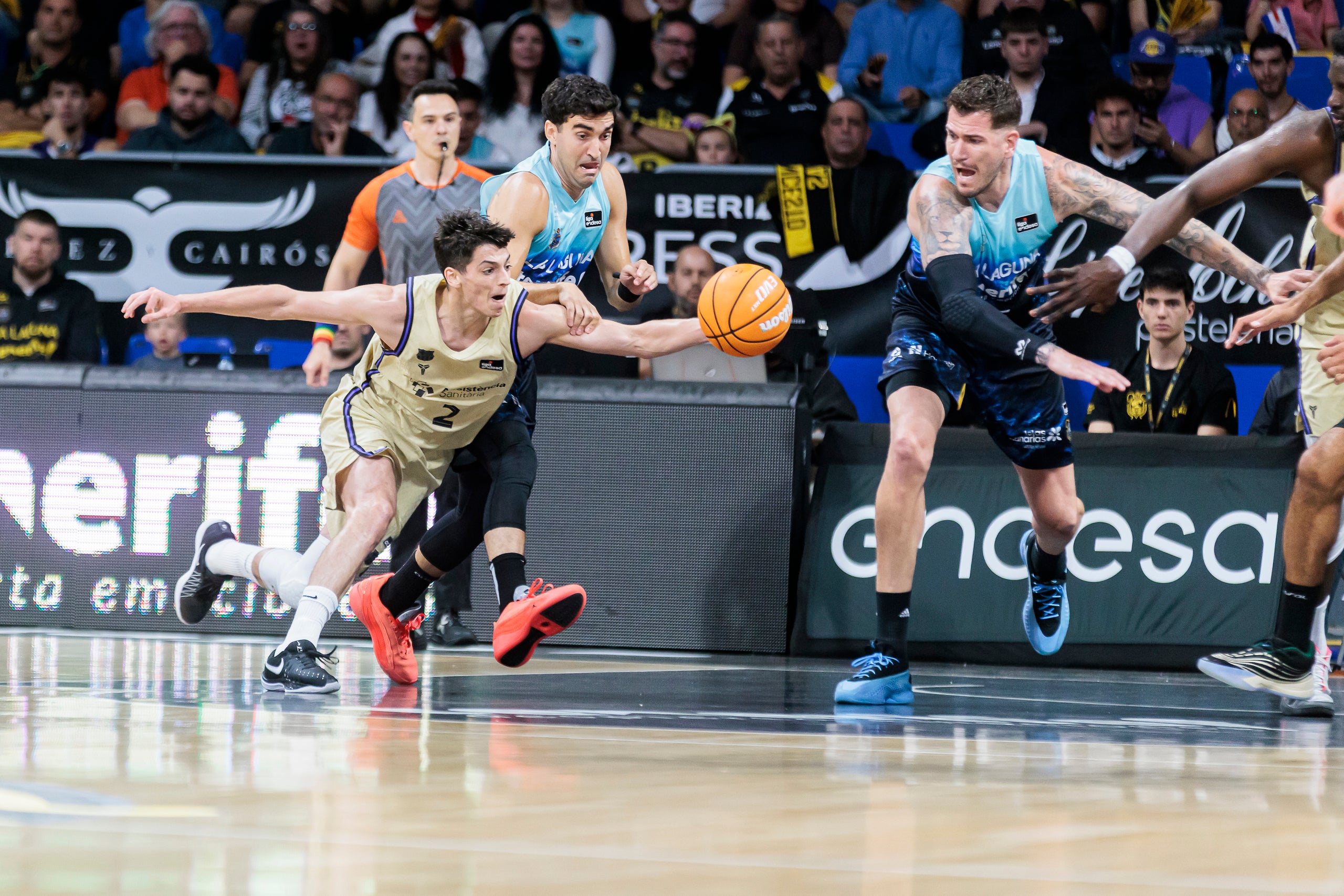 Juani Marcos, durant el Tenerife-Barça | Barça Basket
